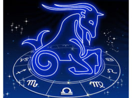 Signo Capricórnio