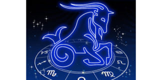 Signo Capricórnio