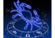 Signo Câncer ou Signo Caranguejo