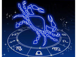 Signo Câncer ou Signo Caranguejo