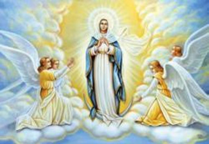 Dia da Imaculada Conceição, celebra-se a 8 de Dezembro