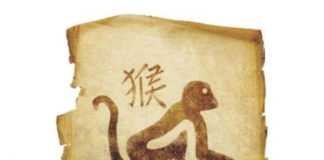 Horóscopo Chinês - Signo Macaco