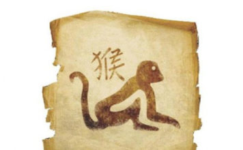 Horóscopo Chinês - Signo Macaco