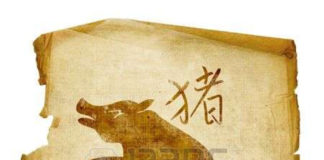 Horóscopo Chinês - Signo Porco ou Javali