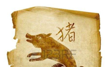 Horóscopo Chinês: Signo de Porco ou Javali Horóscopo Chinês - Signo Porco ou Javali