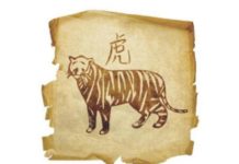 Horóscopo Chinês - Signo de Tigre