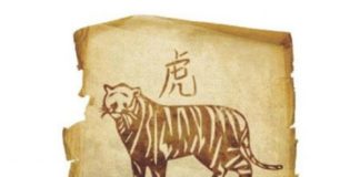 Horóscopo Chinês - Signo de Tigre