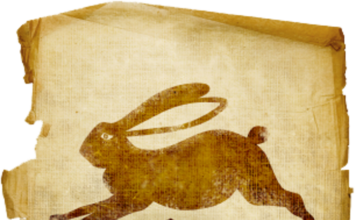 Horóscopo Chinês: Signo de Coelho Horóscopo Chinês - Signo de Coelho