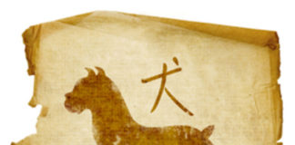 Horóscopo Chinês - signo de Cão