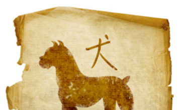 Horóscopo Chinês - signo de Cão