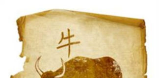 Horóscopo Chinês - Signo de Boi