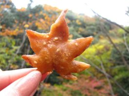 Snack Japonês de folhas de ácer