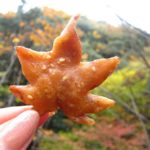 Snack Japonês de folhas de ácer