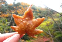 Snack Japonês de folhas de ácer