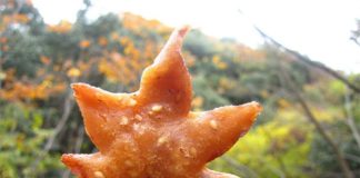 Snack Japonês de folhas de ácer