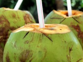 Sumo de mamão e água de coco