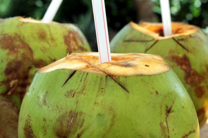 Sumo de mamão e água de coco