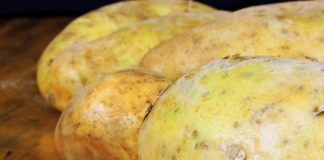 Snacks de batata doce