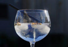 Receita de gin tónico
