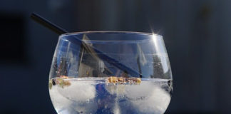 Receita de gin tónico