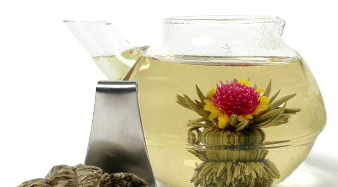 Flor de chá, conheça melhor o exotismo e beleza deste chá Flor de chá