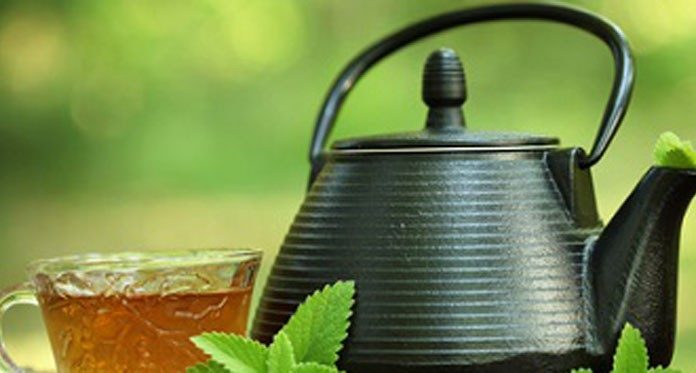 Conheça melhor o componente do chá