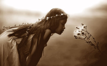 A missão dos 12 signos do zodíaco, conheça a que lhe foi confiada A missão dos 12 signos do zodiaco