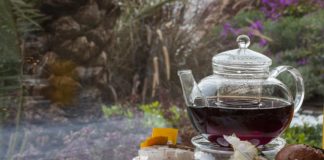 Receita de Chá medicinal de frutos