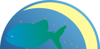 Signo Peixes - previsão astrológica 2018