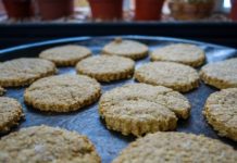 Biscoitos de aveia Light e laranja