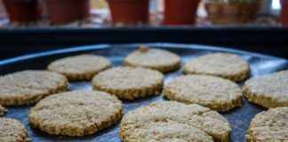Biscoitos de aveia Light e laranja