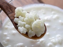 Benefícios do Kefir