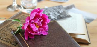 Poemas para o Dia dos namorados