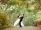 Casamento ecofriendly