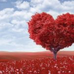45 Declarações de Amor inesquecíveis Declarações de Amor que ficaram na história