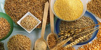 Truques de preparação de leguminosas e cereais